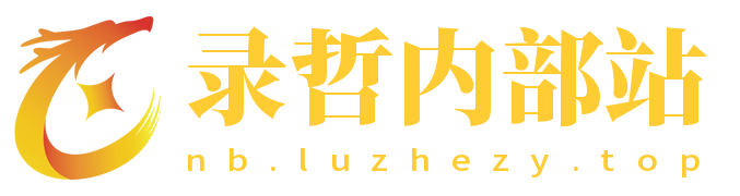 录哲内部站